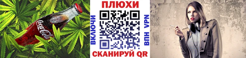 Canna-Cookies марихуана  Кирсанов 