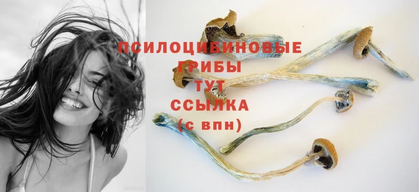 тгк Абдулино
